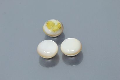 null Lot of three pearls half pearl half mother of pearl. 

Probably Japanese. 

Size:...