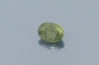 null Oval green sapphire on paper. 

Accompanied by a GLC report indicating unheated....