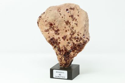 null 
Elégante grande plaque soclée de VANADINITE en tablettes hexagonales isolées...