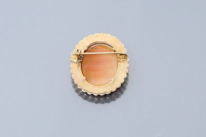 null Oval brooch in 18k (750) yellow gold set with a cameo shell. 

Gross weight:...