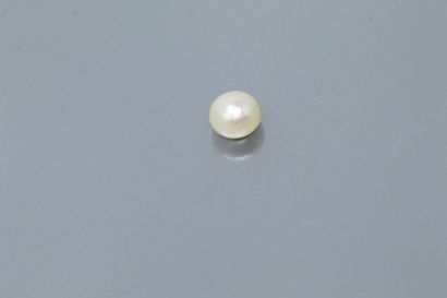 null 
oval pearl on paper. 





Size: approx. 6 x 8 mm.
