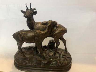 null DUBUCAND Alfred (1828-1894)

Stag and doe

Bronze with brown patina

Accident,...