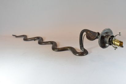 null Wall lamp styling an enamelled cobra

Wear, restoration

90cm