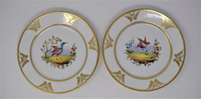 null Suite de dix assiettes en porcelaine à décor polychrome peint d'oiseaux exotiques...