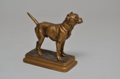 DUBUCAND Alfred, 1828-1894 Chien Bronze doré au pinceau, fonte d'édition moderne...