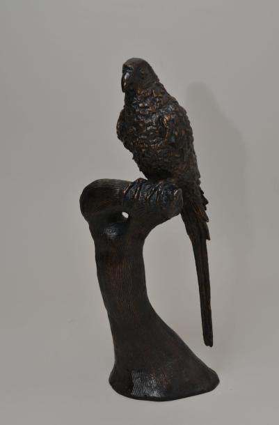 LAURENT Georges, né en 1940 Perroquet sur sa branche Bronze à patine nuancée, fonte...