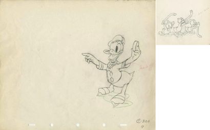 null THE HOCKEY CHAMP Studio Walt Disney, 1939. Deux dessins d'animation de Donald...