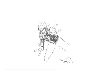 null SPIDERMAN 
Dédicace de Spiderman par Steven Mc Niven
Mine de plomb. Signée....