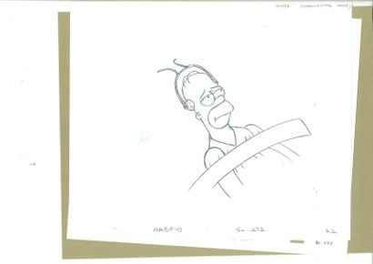 null LES SIMPSONS - Matt GROENING. Deux dessins d'animation d'Homer. 26,5 x 31,5...