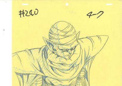 null DRAGON BALL Z - Studio Toei. Dessin d'animation du guerrier Piccolo 24 x 26...