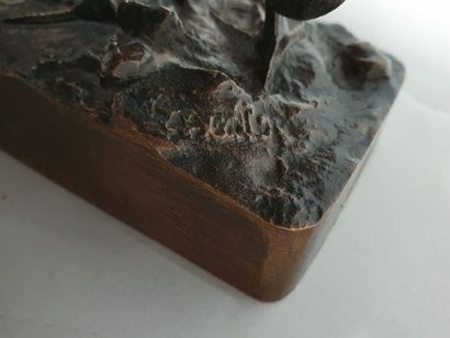 null ECOLE XIXème-XXème siècle 

Ibis 

Bronze à patine médaile, surmoulage, signature...