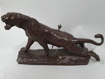 null VALTON Charles, 1851-1918,

Wounded lioness,

bronze with brown patina, cast...