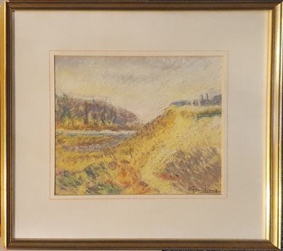 null BRADBERRY Georges (1878-1959)

Cliffs

Pastel on paper, signed lower right 

20...