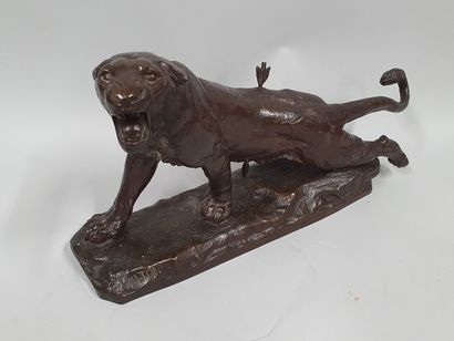 null VALTON Charles, 1851-1918,

Wounded lioness,

bronze with brown patina, cast...