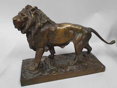 null MOIGNEZ Jules, after

Lion

Bronze with light brown patina

posthumous edition...