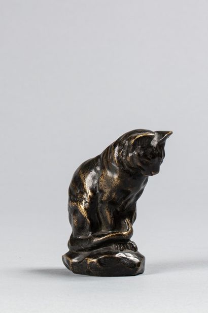 null 
BARYE Antoine Louis, after




Cat




bronze with dark brown patina, modern...