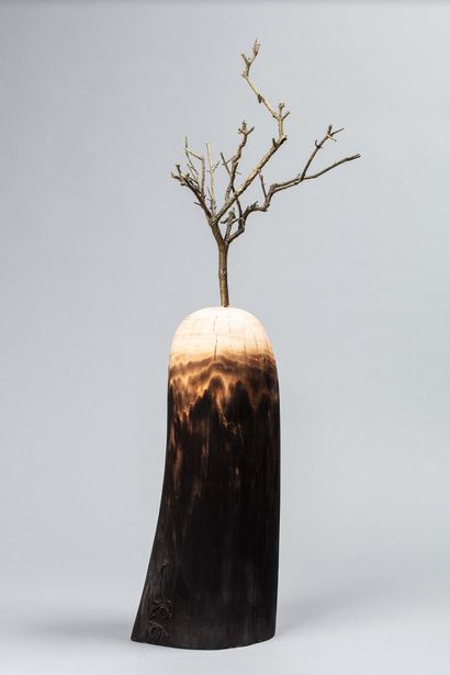 null SEBBAN ARno, born in 1975

Origin of the world, 2018

wood carved and burned...