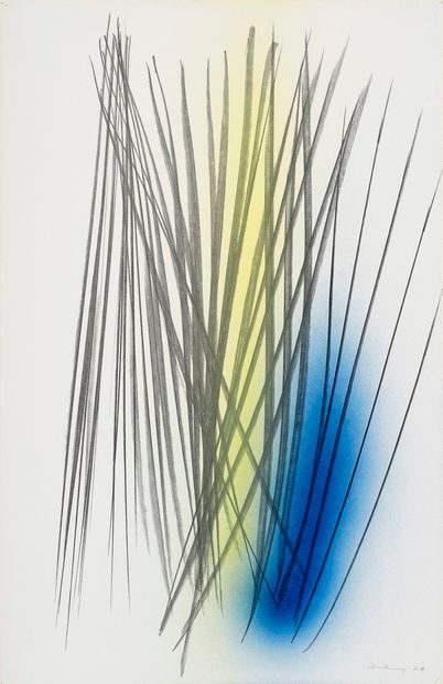 null HARTUNG Hans, 1904-1989

PM1971-12, 1971

acrylic and pastel on baryta board,...