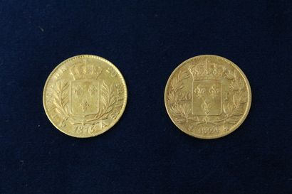 null 
Lot de deux pièces en or de 20 francs Louis XVIII (1815 A ; 1824 A)

TTB. 

Poids...