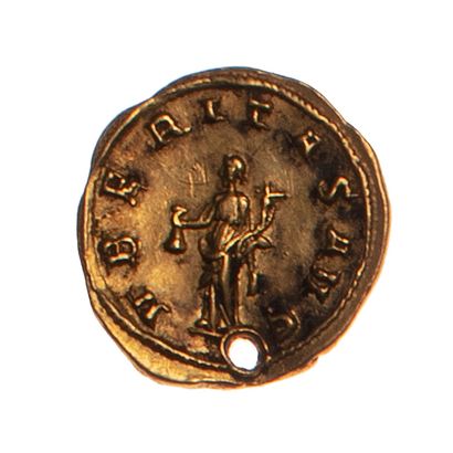 null ROMAN EMPIRE - TRAJAN DECE (249-251)

Aureus 

Obverse: his laurelled bust on...
