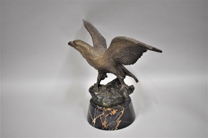 null Grégoire Emile

"L'aigle"

Bronze signé à patine brune reposant sur une base...