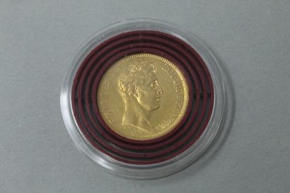 null Pièce en or de 40 Francs Charles X (1824, A)

TTB à SUP.

Poids : 12.90 g.