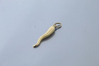 18k (750) yellow gold pendant with a pepper....