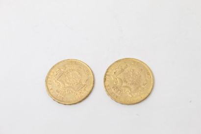 null Lot of two 20 francs gold coins Leopold II grosse barbe (1867 & 1870)

TTB to...