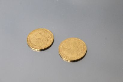 null Lot de deux pièces en or de 20 Francs au Coq, 1906,1907.

TTB à SUP. 

Poids...