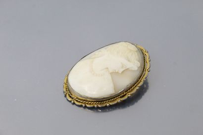 Shell cameo with a female bust in profile,...
