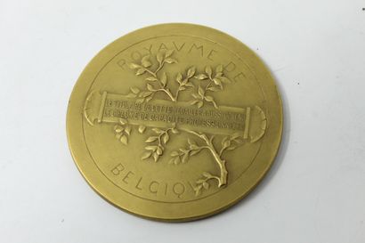 null Médaille en bronze dorée

Avers : la Renommée tenant dans sa main droite une...