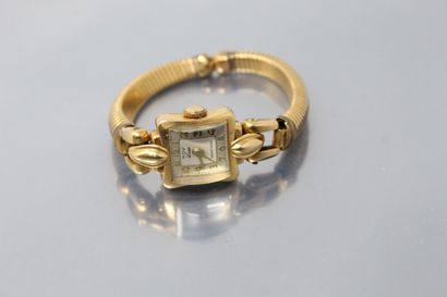 null NOV Luxe

Montre bracelet de dame, boîte en or jaune 18k (750), index chiffres...