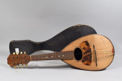 null Une mandoline Lazarro, et une mandoline de fabrication française

Petits accidents

63...