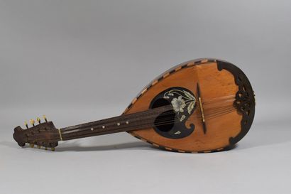 null A Lazarro mandolin, and a French made mandolin

Small accidents

63 cm and 59...