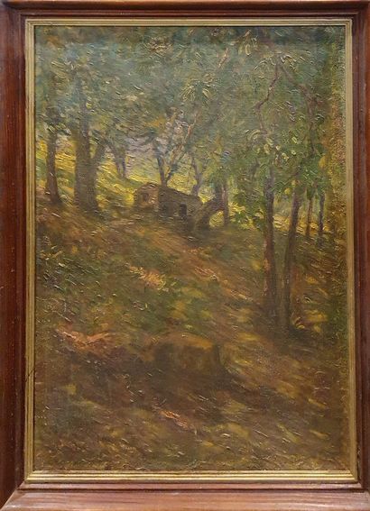 null MODERN SCHOOL 

the chestnut grove, Carbuccia, Corsica

Oil on canvas unsigned,...