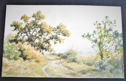 null ROUX Paul (1845-1918)

Country landscape, 1914 - under wood with lake - lake...