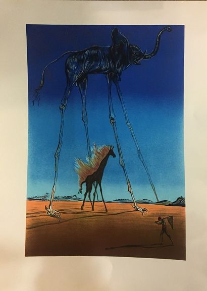 null DALI Salvador, d'après

Eléphant

Lithographie, non signée

76 x 55.5cm.