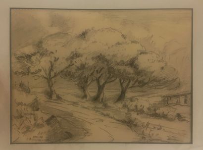 null RICARD CORDINGLEY Georges, 1873-1939

Bord de chemin

crayon sur papier

Cachet...