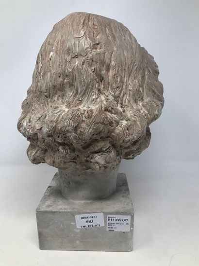 null STOERR Edouard (XX) attributed to

Head of a woman in patinated plaster on a...