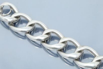 null Silver bracelet with large curb chain.

Weight : 68 g.