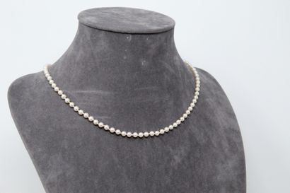 null Choker pearl necklace, clasp in 18k (750) yellow gold

Length of neck : 46 cm....