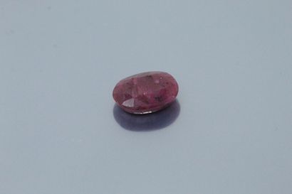 null Oval ruby (root) on paper. 

Accompanied by a certificate IDT indicating treatments....