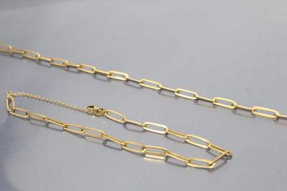null Half set in 18k (750) yellow gold with horse chain.

Size of the neck : 42 cm....