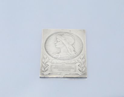 null Rectangular silver table medal. Unitary shorthand association.

Engraved and...
