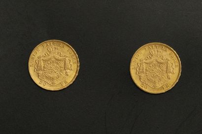null 
Lot composé de 2 pièces de 20 Francs Léopold II (1876, 1877)

Poids : 12,90...