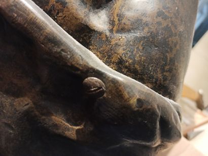null VENUS DE MILO

Epreuve en bronze à patine brune, sculpture en deux parties,...