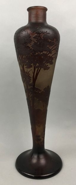 null GALLE (In the taste of)

Amber vase with pine and rushes decoration 

Signed

H....