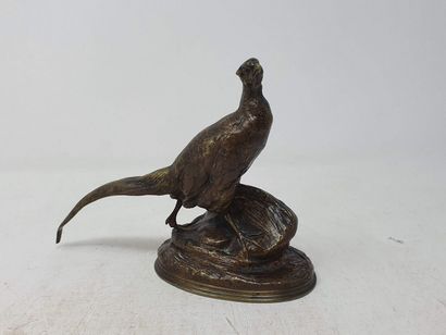 null CAIN Auguste Nicolas (1821-1894)

Walking pheasant

Bronze with a shaded medal...