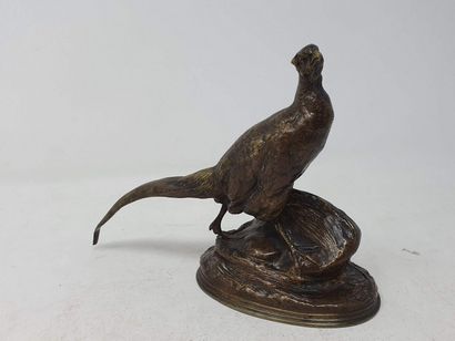 null CAIN Auguste Nicolas (1821-1894)

Walking pheasant

Bronze with a shaded medal...
