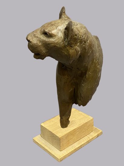 null BODIN Jean Marc (born in 1965)

Head of a lioness 

Bronze numbered 1/8, signed

Mounted...